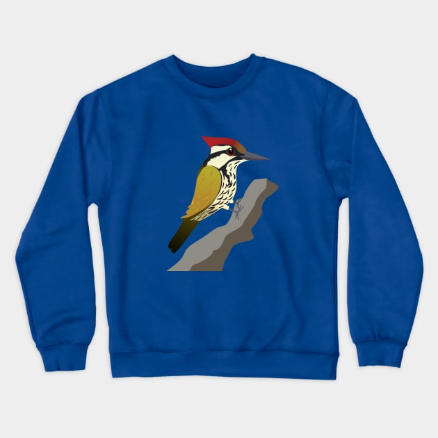 Common flameback woodpecker Crewneck Sweatshirt by Bwiselizzy